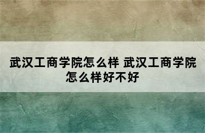 武汉工商学院怎么样 武汉工商学院怎么样好不好